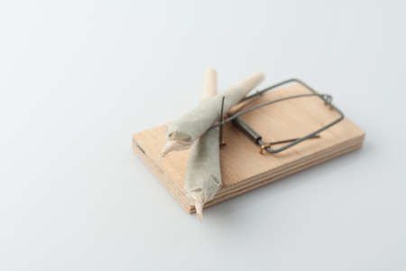 Cannabis addiction. The concept of studying mental addiction to drug use.の写真素材