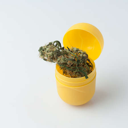 Cannabis bud in a surprise yellow toy box on a white background.の写真素材
