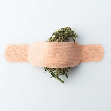 Cannabis bud is glued with sticky plaster on a white wall.の写真素材