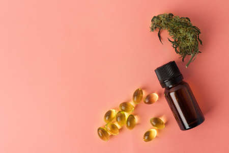 Cannabis bud close-up concept of legalize and medicinal properties of hemp and cbd oil.