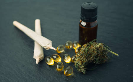 Cannabis bud close-up concept of legalize and medicinal properties of hemp and cbd oil.の写真素材