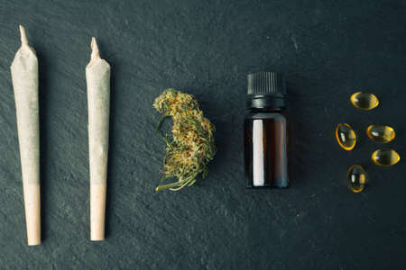 Cannabis bud close-up concept of legalize and medicinal properties of hemp and cbd oil.の写真素材