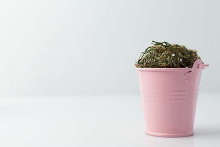 A bucket of hemp buds on a white background.の写真素材