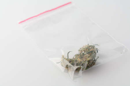 Cannabis bud in zip package on a white background. Medical cannabis drug.