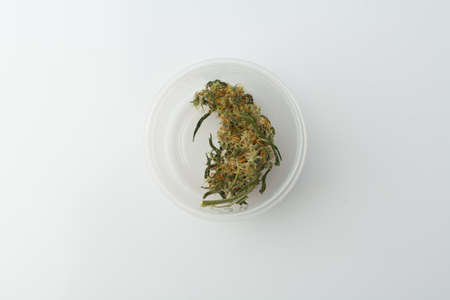 Cannabis bud in packaging on a white background. Medical cannabis drug.の写真素材
