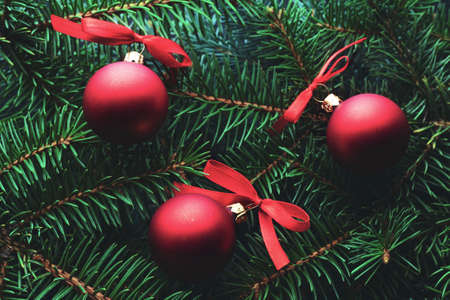 New Year tree close-up red Christmas balls.の写真素材