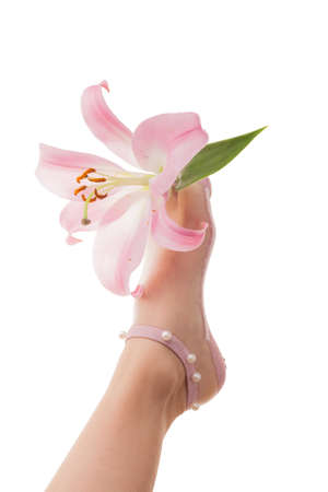 Tulle socks on female legs isolated on white background.の写真素材