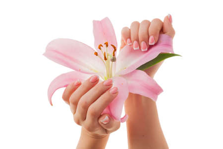 Female hands with French manicure and lily flowers isolated on white background.の写真素材