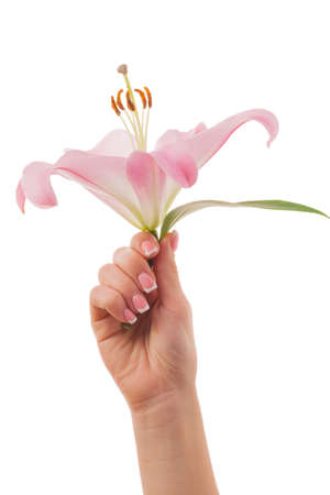 Female hands with French manicure and lily flowers isolated on white background.の写真素材