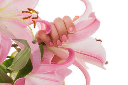 Female hands with French manicure and lily flowers isolated on white background.の写真素材