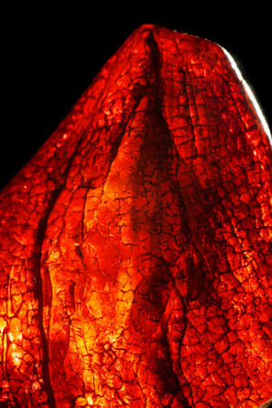 Macro close-up of rough raw amber stone isolated on black background.の写真素材