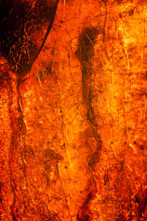 Texture background amber stone caramel macro close-up. Rough stone with patterns and cracks. Wood resin.の写真素材