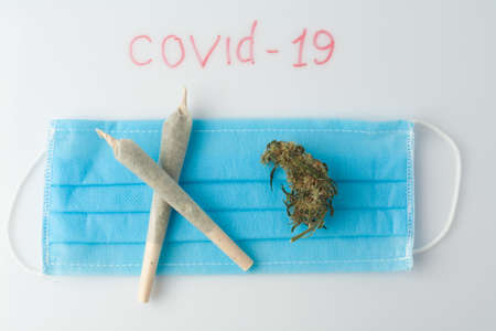 Marijuana prevention of coronavirus. Research on the effect of CBD, THC on the respiratory system and drug test. Covid 19 concept of marijuana use during an epidemic.の写真素材