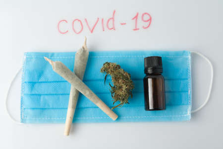 Marijuana prevention of coronavirus. Research on the effect of CBD, THC on the respiratory system and drug test. Covid 19 concept of marijuana use during an epidemic.の写真素材