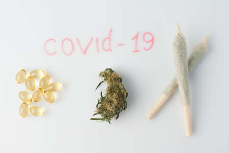 Marijuana prevention of coronavirus. Research on the effect of CBD, THC on the respiratory system and drug test. Covid 19 concept of marijuana use during an epidemic.の写真素材