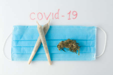 Marijuana prevention of coronavirus. Research on the effect of CBD, THC on the respiratory system and drug test. Covid 19 concept of marijuana use during an epidemic.の写真素材