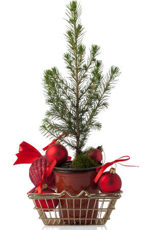 Sale of a Christmas tree and toys. Decorative pine tree isolated on white background. A miniature home tree in a pot in a shopping basket.の写真素材
