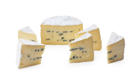 Camembert moldy cheese isolated on white background. Mixture of camembert brie and blue mold.の写真素材