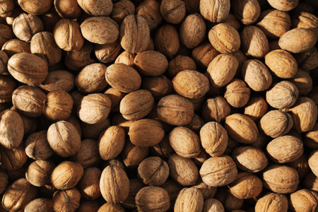 Heap of walnut in a shell background texture of aの写真素材