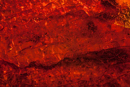 Amber stone or sun stone close-up macro on the light.の写真素材