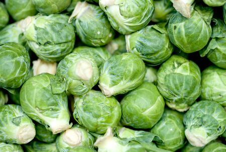 Cabbagesの写真素材
