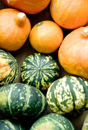 Pumpkinの写真素材