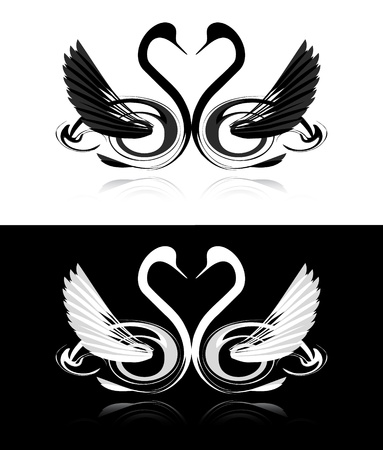 Collection of black and white swansのイラスト素材