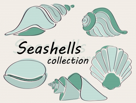 Collection of seashells drawn in astract way in vectorのイラスト素材