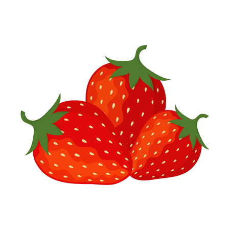 Collection of vector strawberriesのイラスト素材