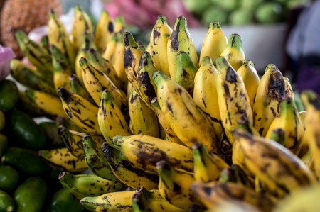 Bunch of yellow and green bio bananasの写真素材