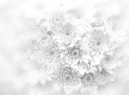 White bouquet background.の写真素材