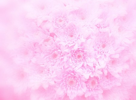 Pink bouquet background.の写真素材