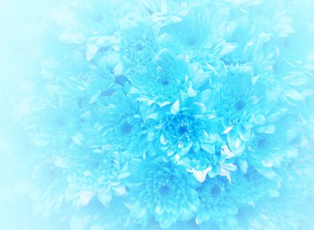 Blue bouquet background.の写真素材
