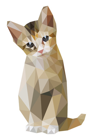 Brown cat sitting low polygonのイラスト素材