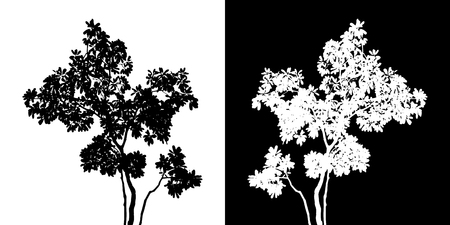 Tree vector silhouetteのイラスト素材