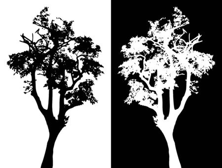 Tree vector silhouetteのイラスト素材