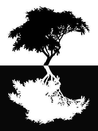 Plumeria tree isolatedのイラスト素材