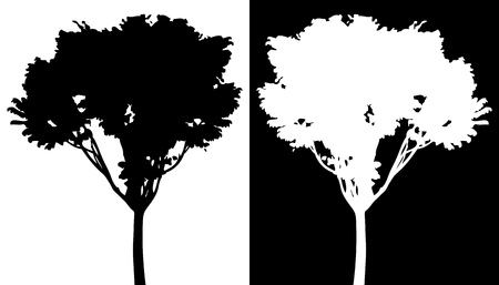 Tree isolated vectorのイラスト素材