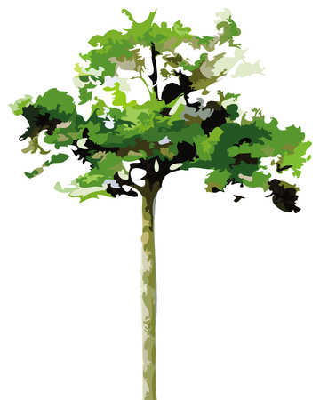 Green tree vectorのイラスト素材
