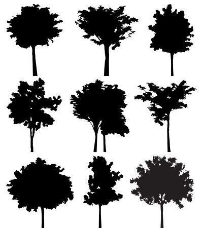 Set of nine trees vector silhouetteのイラスト素材