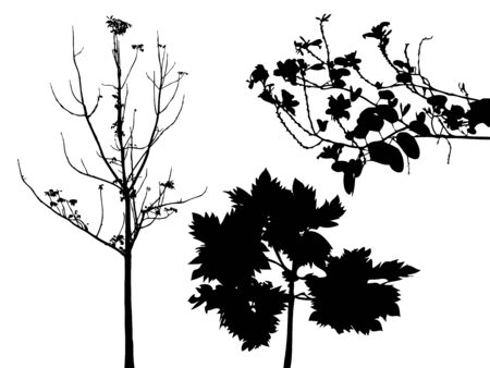 Trees vector silhouetteのイラスト素材