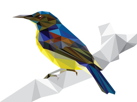 Polygonal bird Yellow-bellied sunbirdのイラスト素材