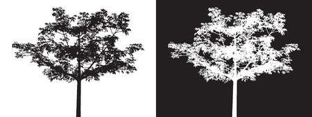 Tree silhouette vectorのイラスト素材