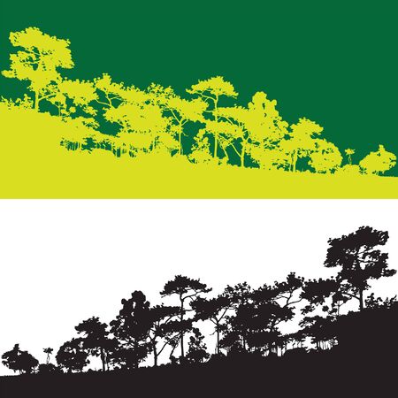 Green pine tree isolated vector banner, branch stick silhouette background, black and white wood view backdrop, forest scene shadow, wild jungle mountain outlineのイラスト素材
