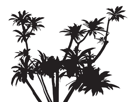 Tree isolated vector, black shadow leaf, bush outline forest, gray plant shape, foliage contour, botany silhouetteのイラスト素材