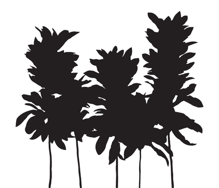 Tree isolated vector, black shadow leaf, bush outline forest, gray plant shape, foliage contour, botany silhouetteのイラスト素材