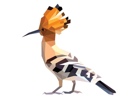 Orange Hoopoe low polygon isolated vectorのイラスト素材