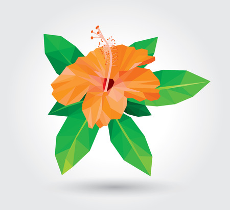Yellow hibiscus isolated on white background low polygon design. Top view small flora plant geometric graphic. Floral green fresh leaf branches. Orange flower polygonal crystal style illustration.のイラスト素材
