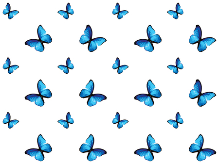 Colorful butterfly isolated on white background, blue wings insects flying. Pattern logo geometric. Bug polygonal crystal style.のイラスト素材
