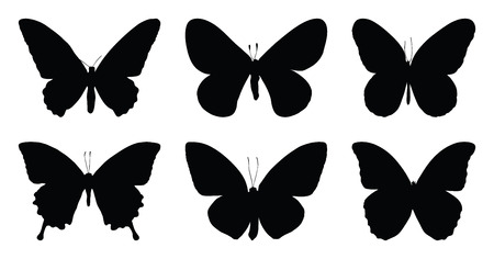 Set of six butterfly icon isolated on white background with clipping path, black wings tattoo insects vector brushes.のイラスト素材
